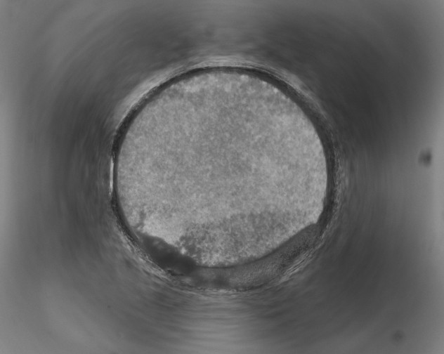 X0000115611221200912221200