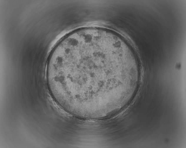 X0000115611224200912221200