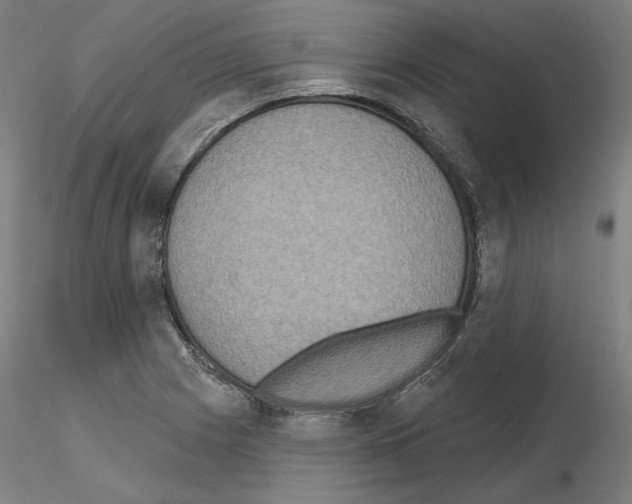 X0000115611225200912221200