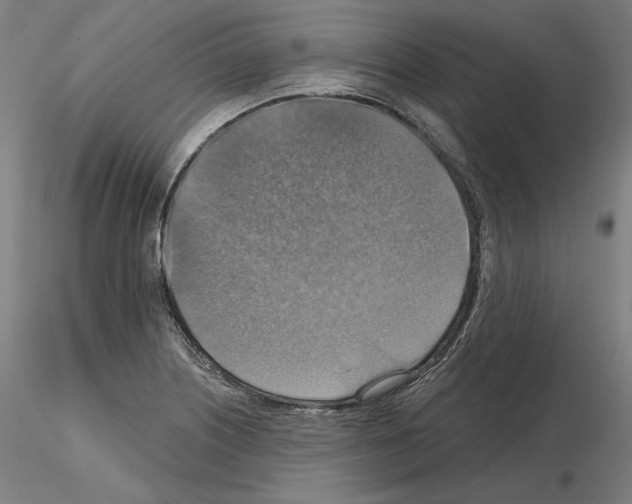 X0000115611226200912221200