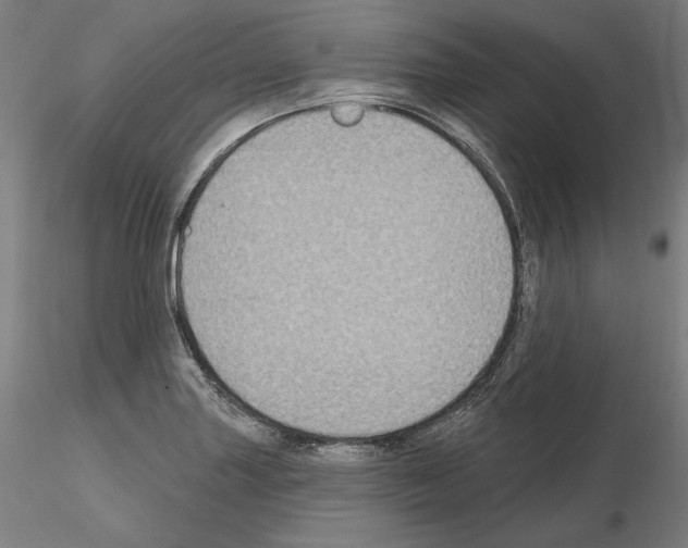 X0000115611227200912221200