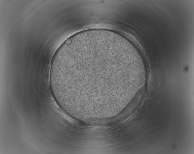X0000115611228200912221200