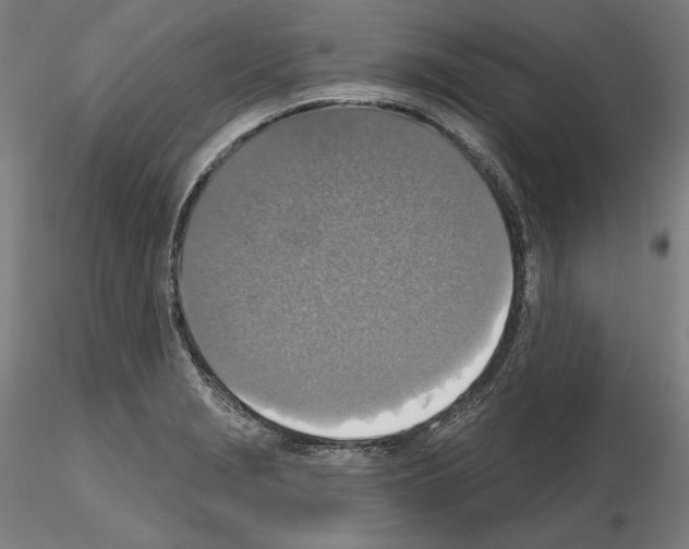 X0000115611229200912221200