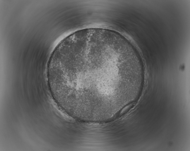 X0000115611230200912221200