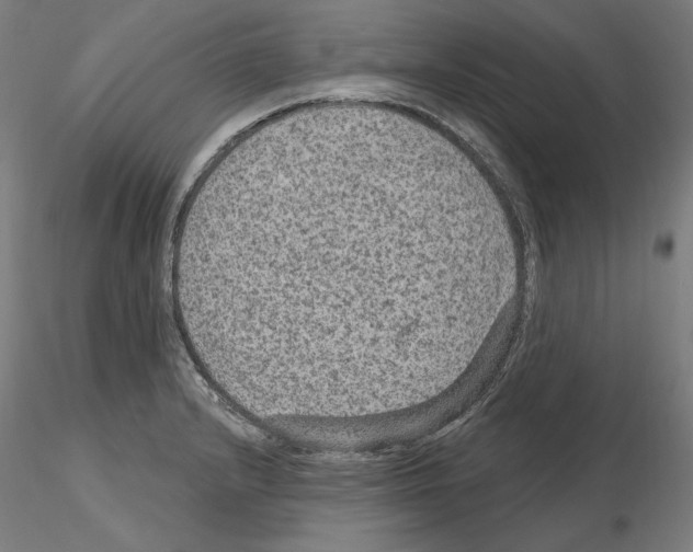X0000115611232200912221200
