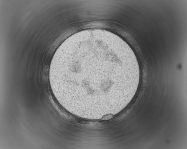 X0000115611233200912221200