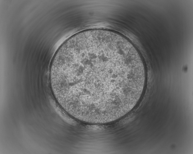 X0000115611234200912221200