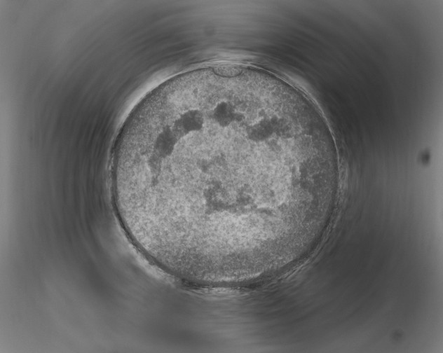 X0000115611235200912221200