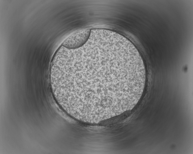 X0000115611236200912221200