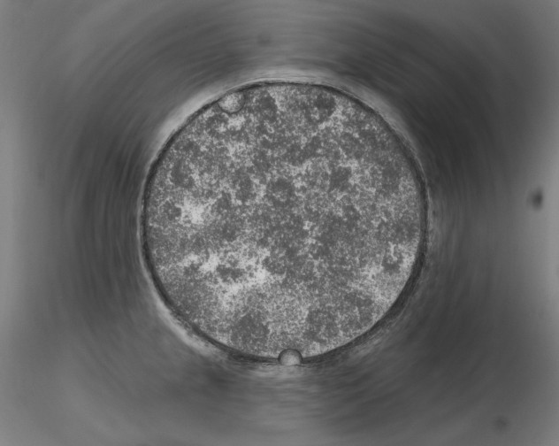 X0000115611237200912221200
