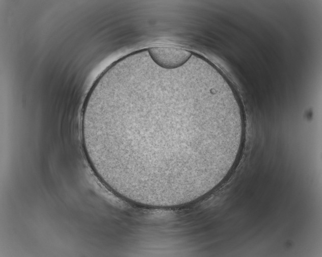 X0000115611238200912221200