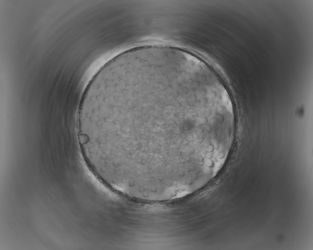 X0000115611239200912221200