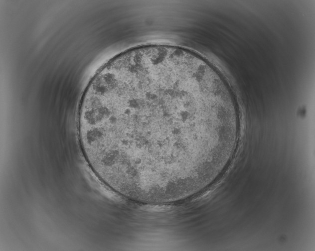 X0000115611240200912221200