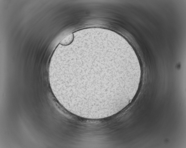 X0000115611242200912221200
