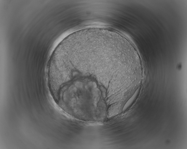 X0000115611243200912221200