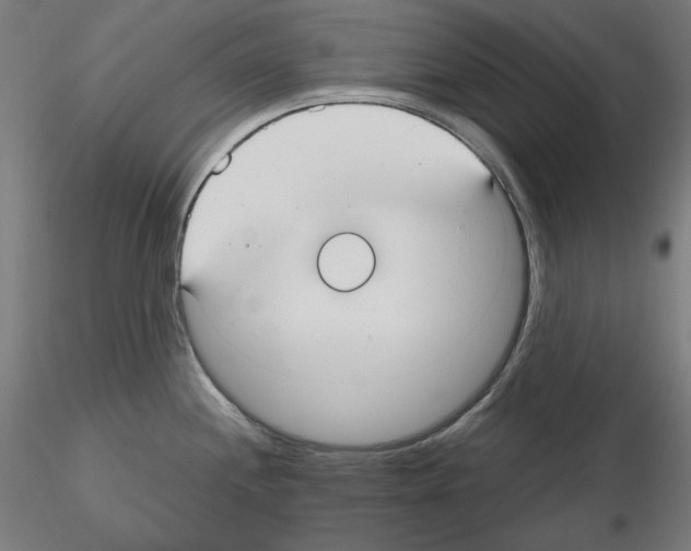 X0000115611244200912221200