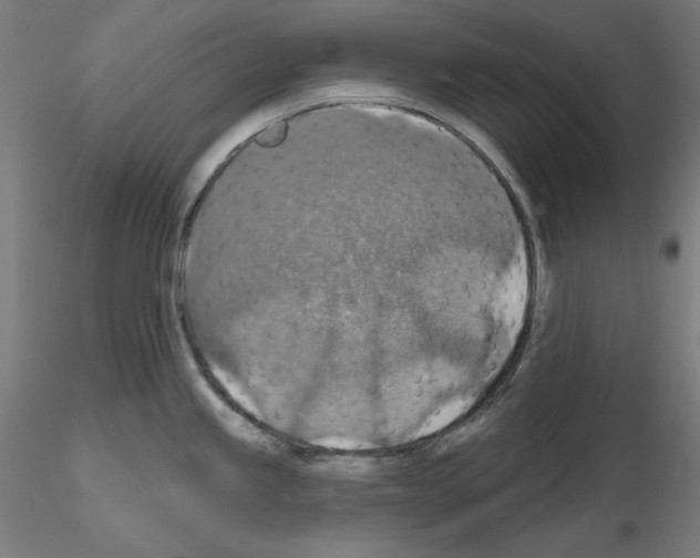 X0000115611245200912221200