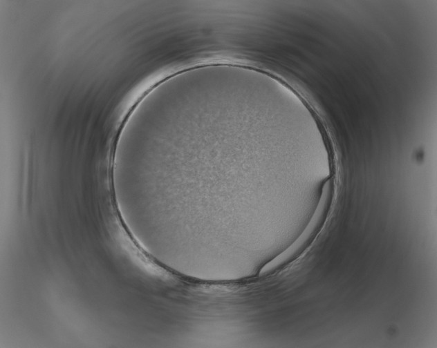 X0000115611246200912221200