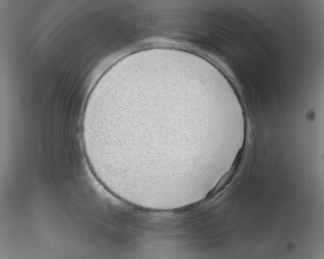 X0000115611247200912221200