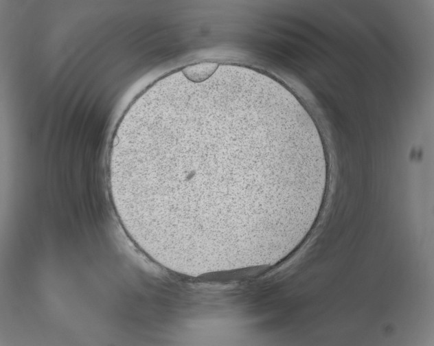 X0000115611248200912221200