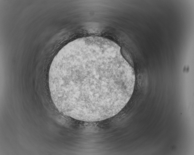 X0000115611249200912221200