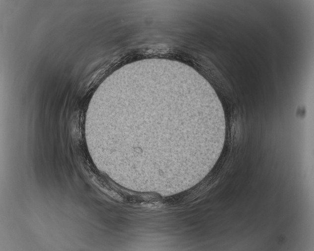 X0000115611250200912221200