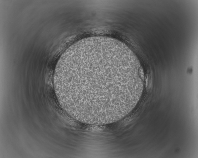 X0000115611251200912221200