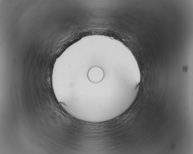 X0000115611252200912221200