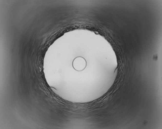 X0000115611253200912221200