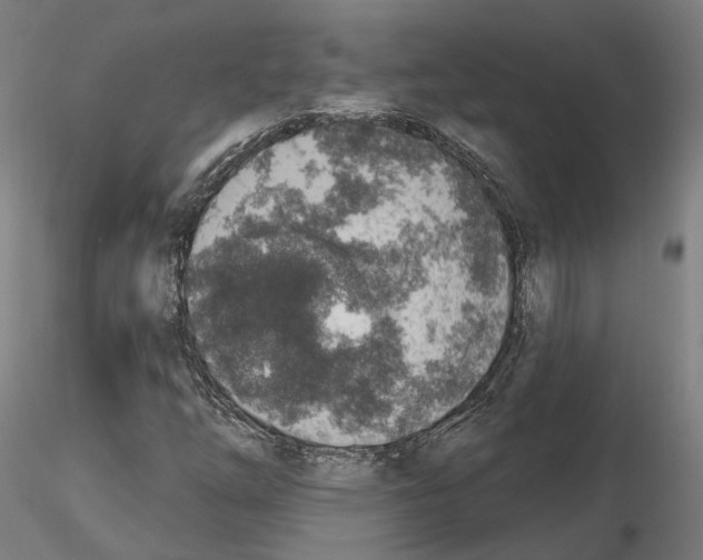 X0000115611254200912221200