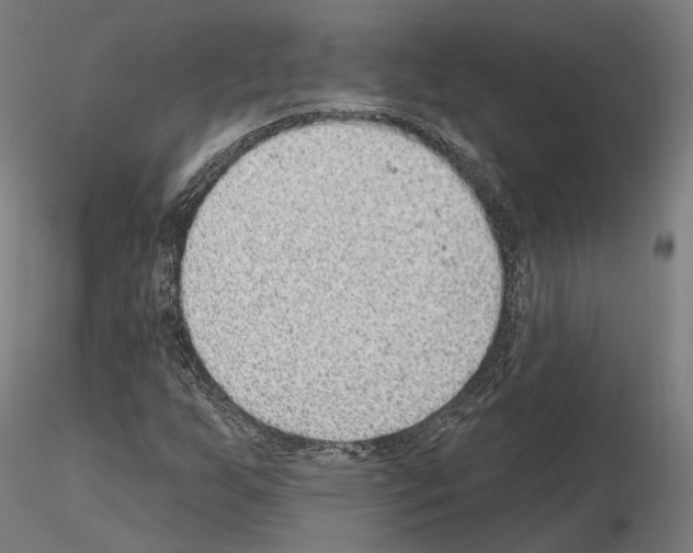 X0000115611255200912221200