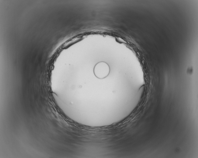 X0000115611256200912221200