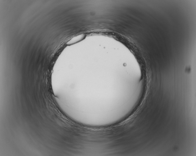 X0000115611257200912221200