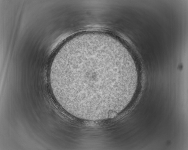 X0000115611259200912221200