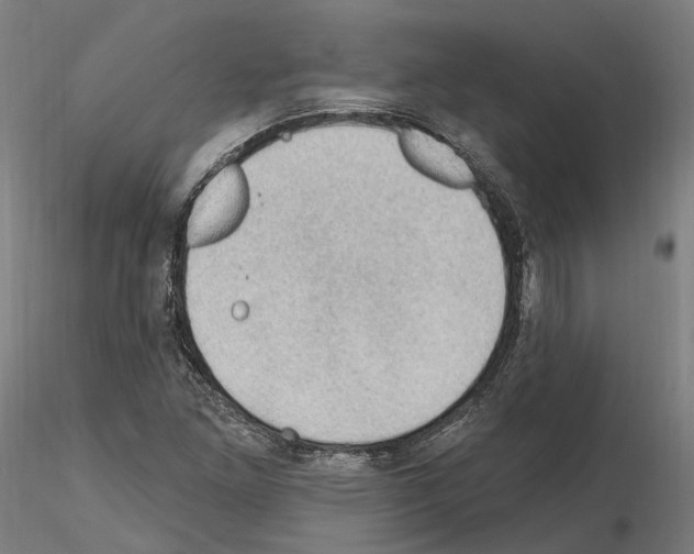 X0000115611261200912221200