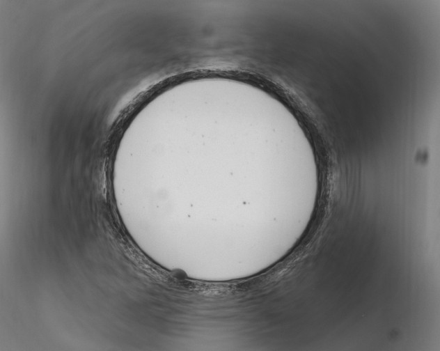 X0000115611262200912221200