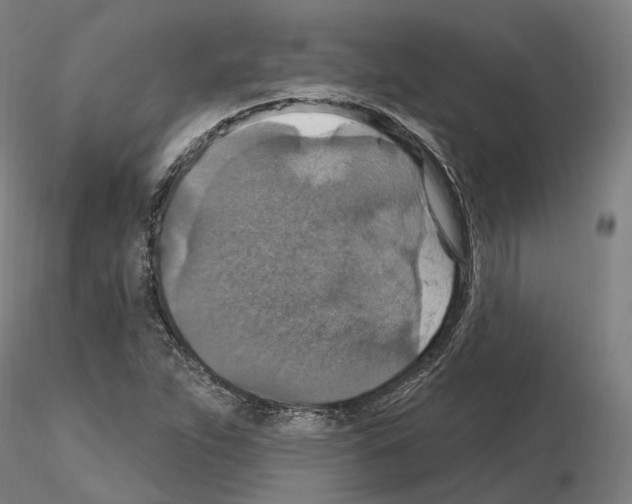 X0000115611263200912221200