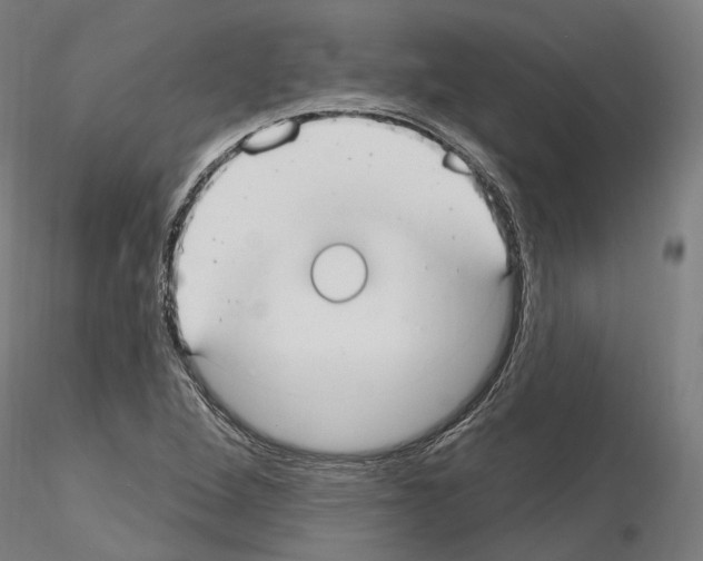X0000115611264200912221200