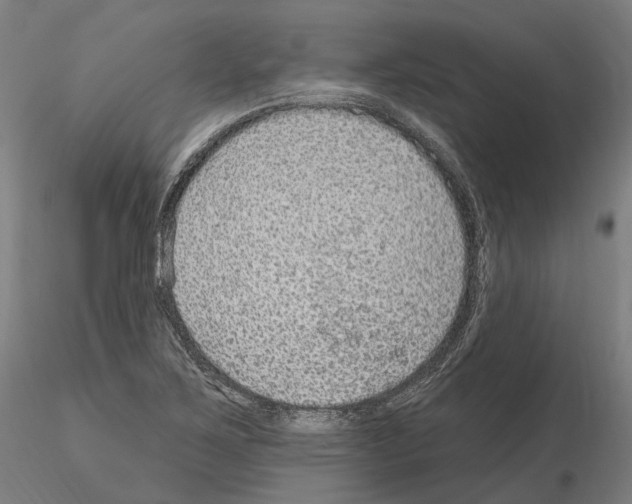 X0000115611267200912221159