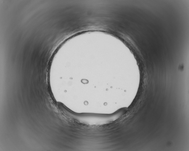 X0000115611268200912221159