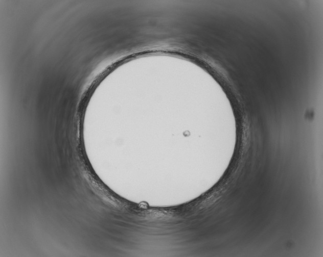 X0000115611270200912221159