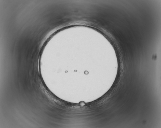 X0000115611272200912221159