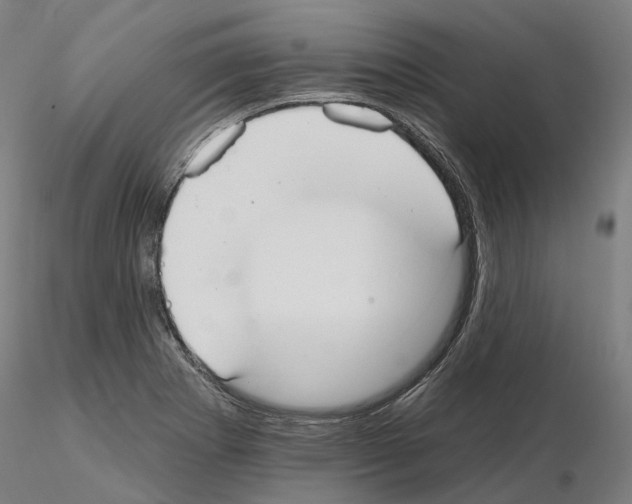 X0000115611273200912221159