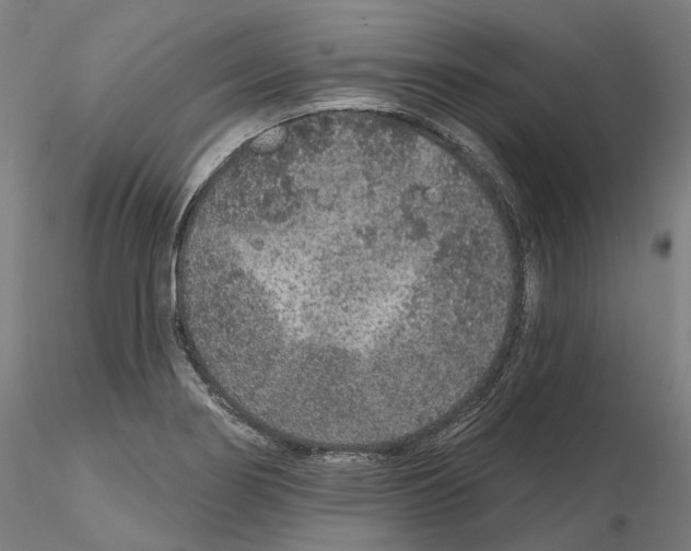 X0000115611274200912221159