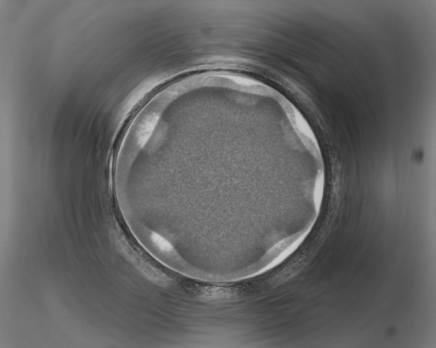 X0000115611275200912221159