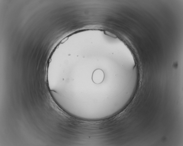 X0000115611276200912221159