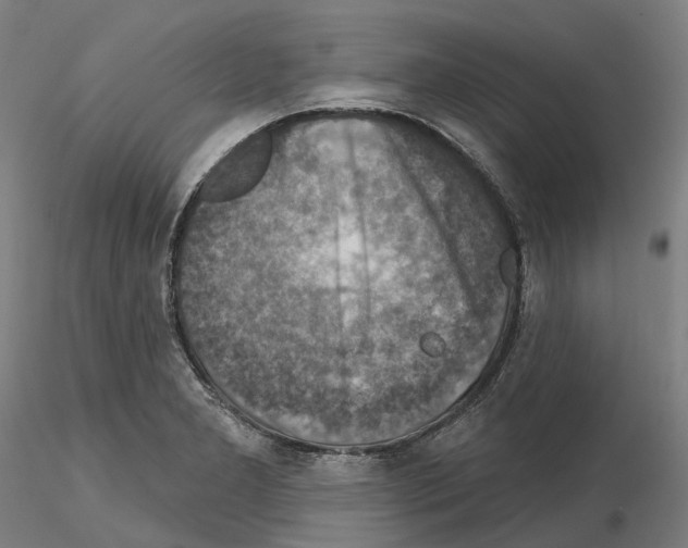 X0000115611277200912221159