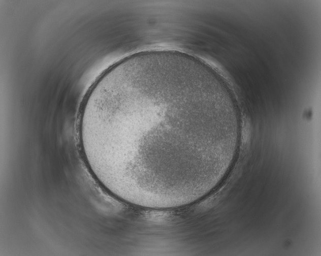 X0000115611278200912221159