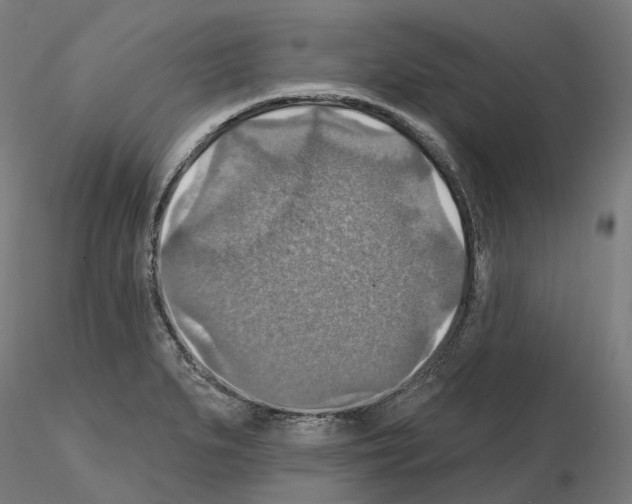 X0000115611279200912221159