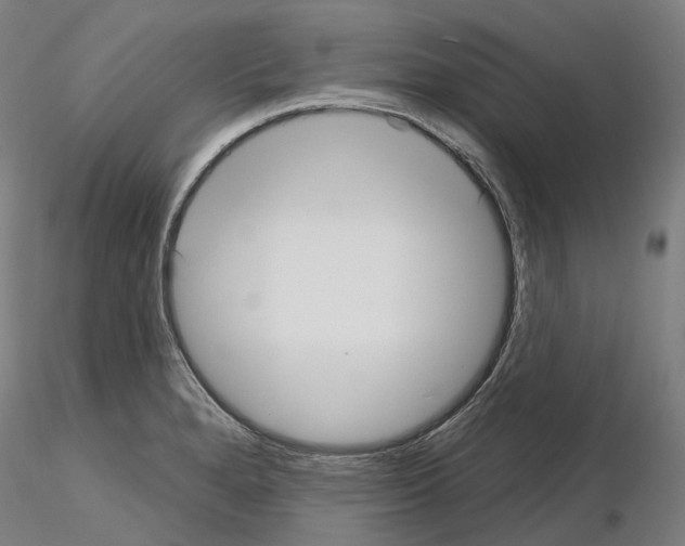 X0000115611280200912221159